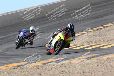 media/Jan-13-2024-SoCal Trackdays (Sat) [[9c032fe5aa]]/Bowl Exit Set 1 (1125am)/